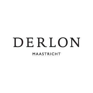 Image result for Derlon Maastricht City Apartments
