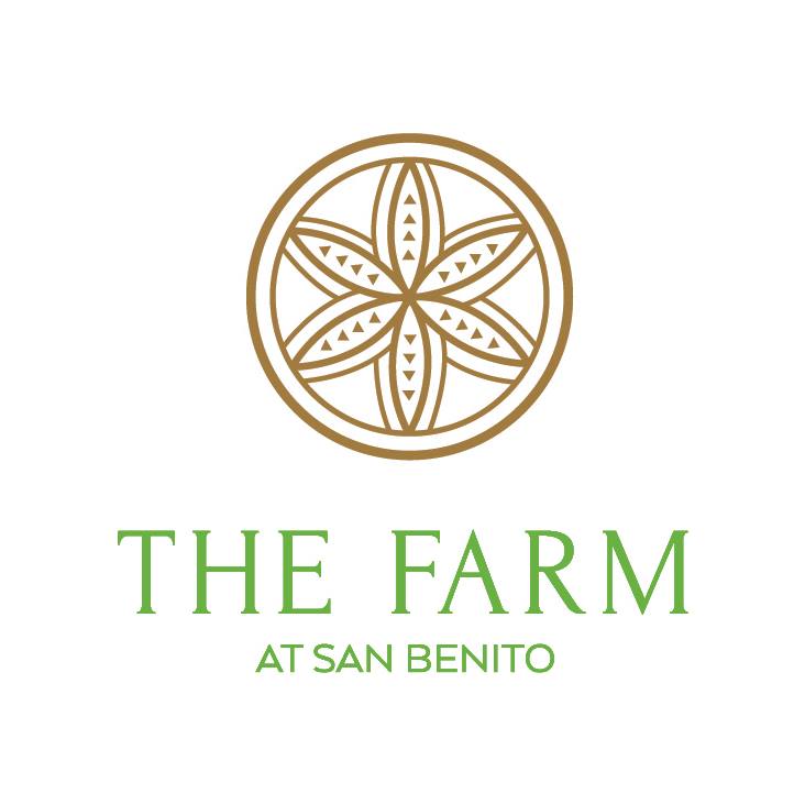 Image result for Detox Cleanse at The Farm at San Benito (Philippines)
