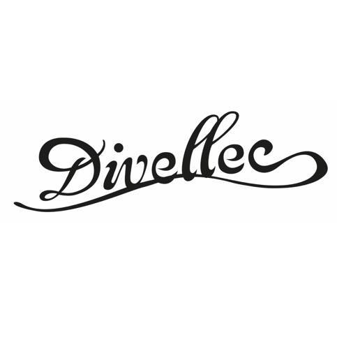 Image result for Divellec