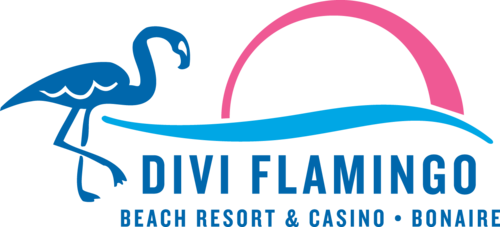 Image result for Divi Flamingo Beach Resort & Casino (Boinare)