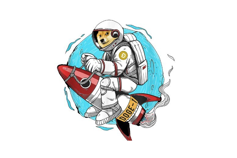 Image result for Doge-1 Mission to the moon