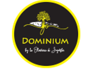 Image result for Dominium