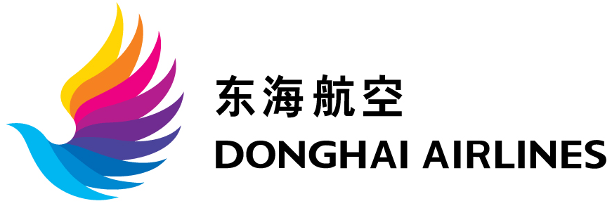 Image result for Donghai Airlines – Seagull Club