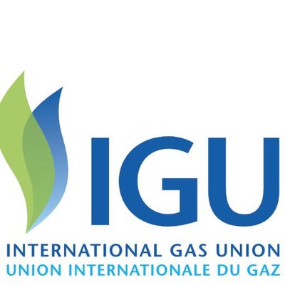 Image result for International Gas Union (IGU)