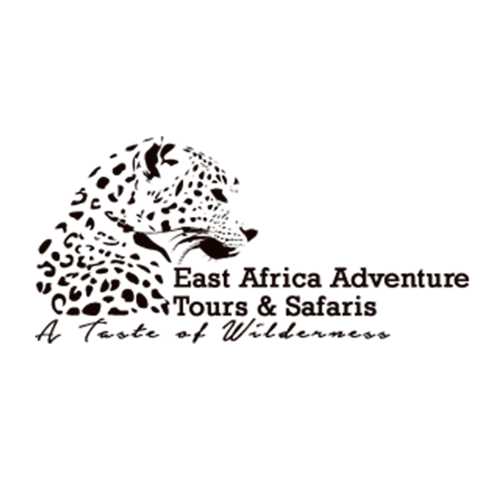 Image result for East Africa Adventure Tours & Safaris