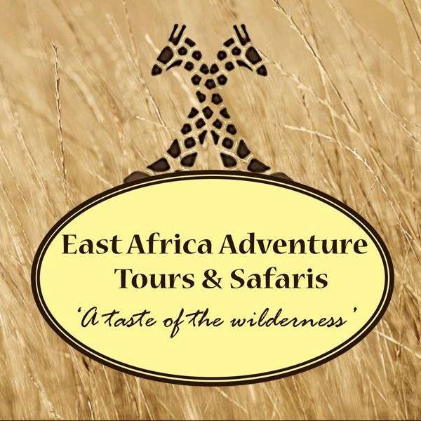 Image result for East Africa Adventure Tours and Safaris Ltd