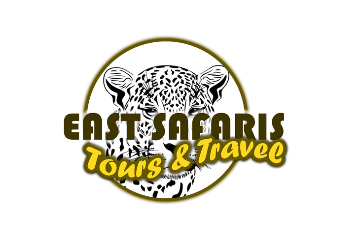 Image result for East Safaris Tours