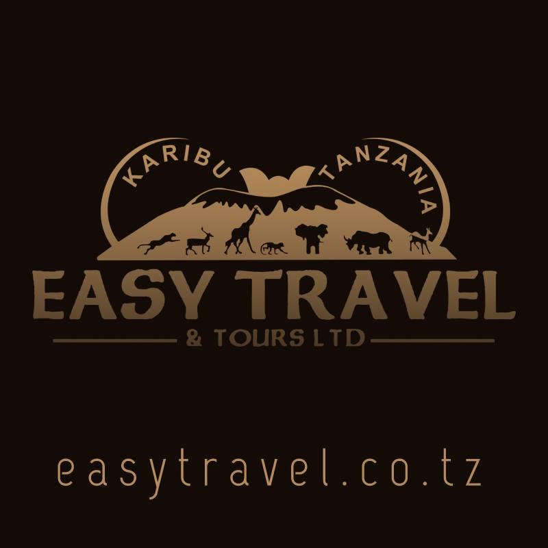 Image result for Easy Travel and Tours