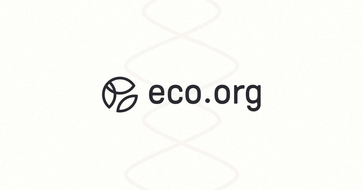 Image result for Eco Pay