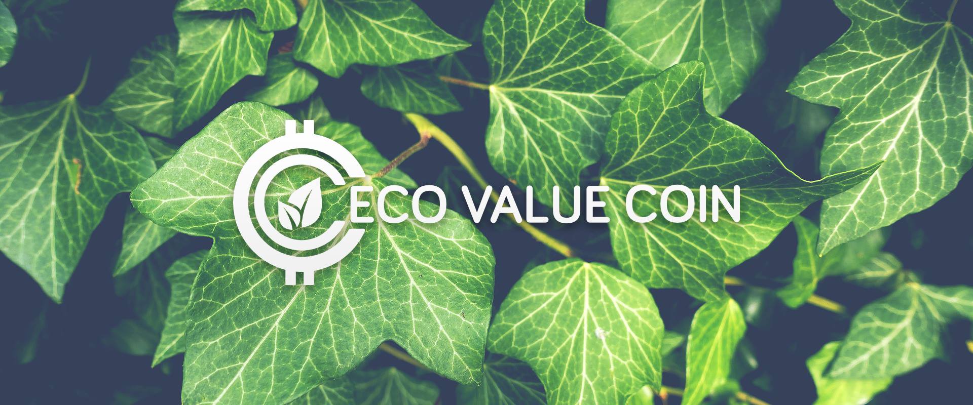 Image result for Eco Value Coin