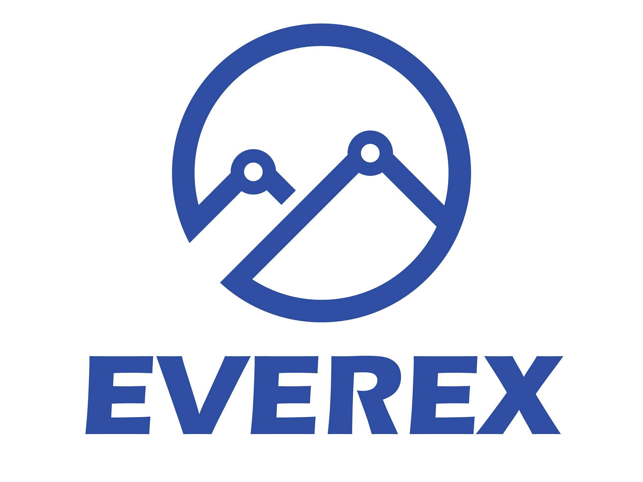 Image result for Everex