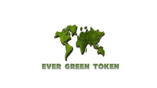 Image result for Evergreen token