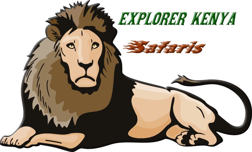 Image result for Explorer Kenya Tours and Travel Ltd