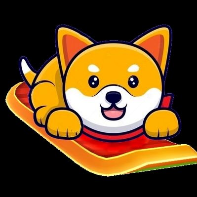 Image result for Shiba Surfer