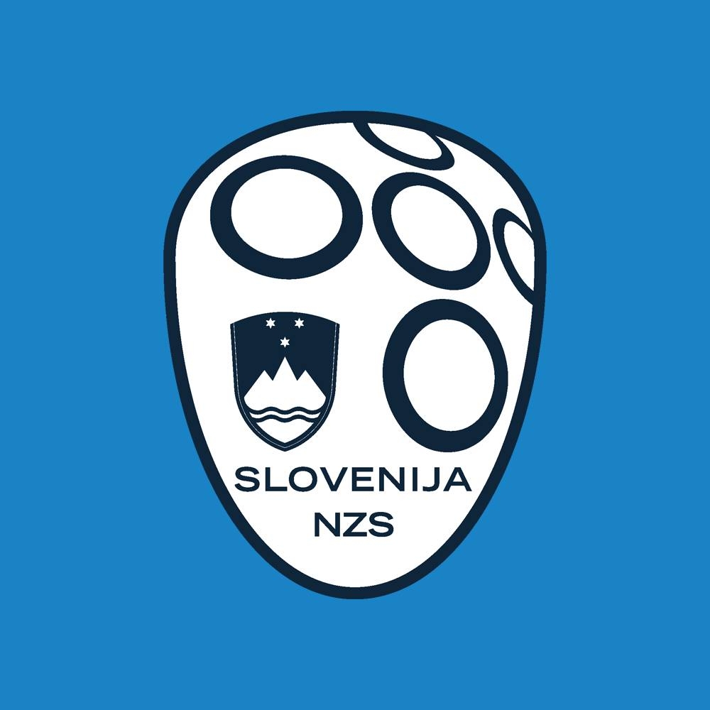 Image result for FOOTBALL ASSOCIATION OF SLOVENIA