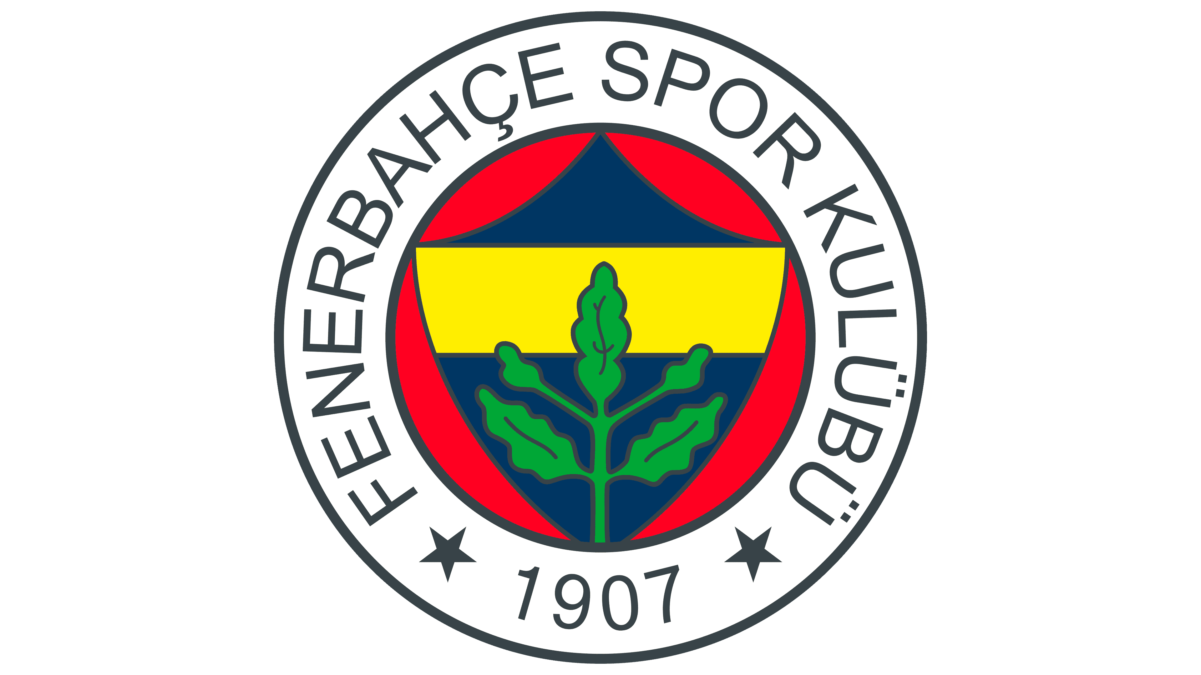 Image result for Fenerbahçe Token