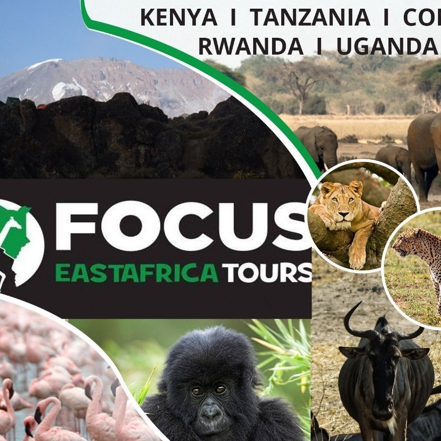 Image result for Focus East Africa Tours