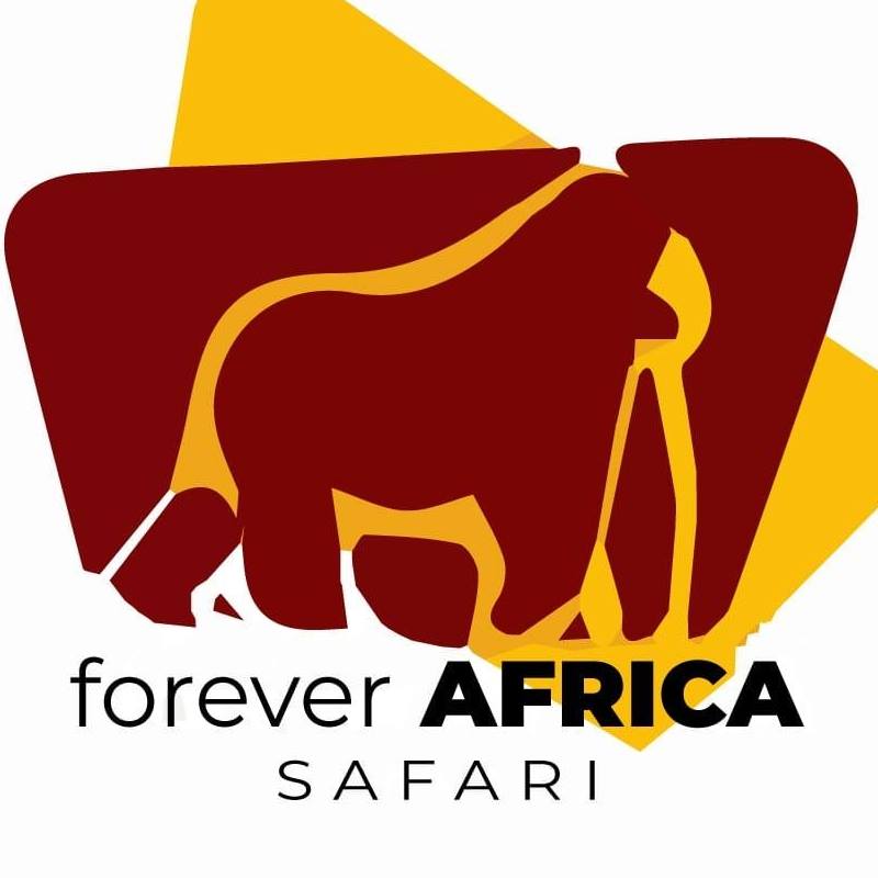 Image result for Forever Africa Safari