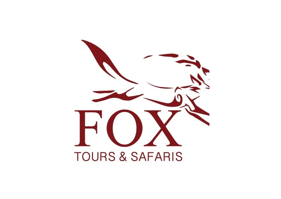 Image result for Fox Tours and Safaris