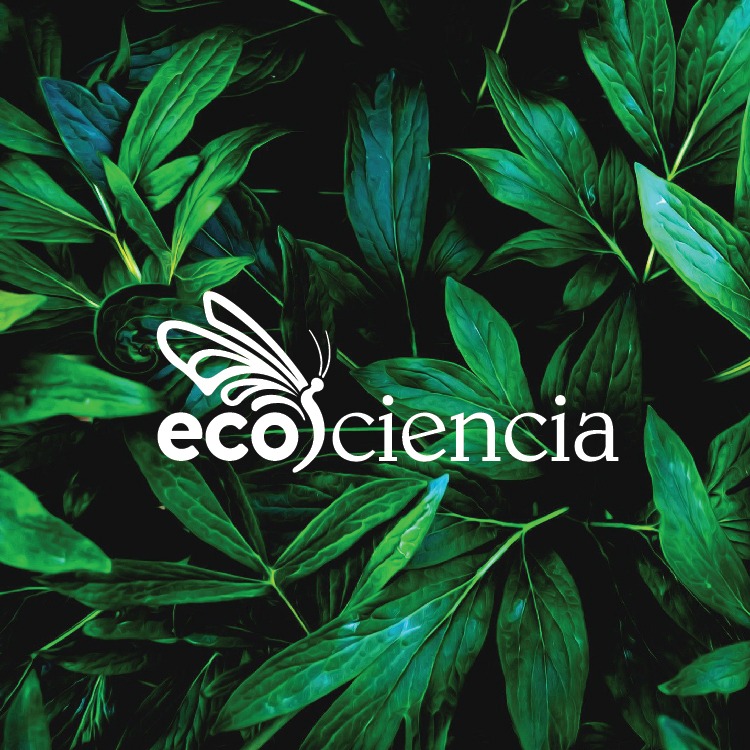 Image result for Fundacion Ecuatoriana de Estudios Ecologicos EcoCiencia