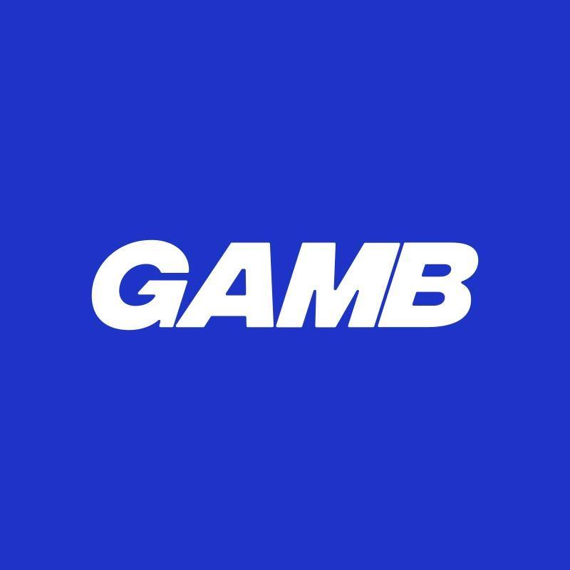 Image result for GAMB