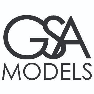 Image result for GSA Models