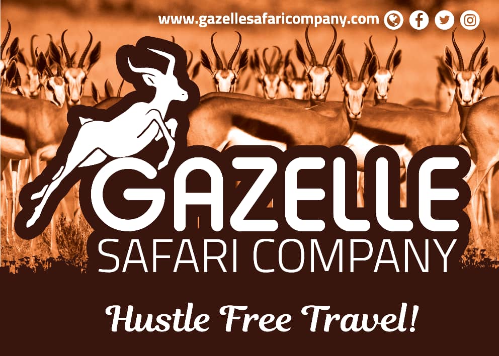 Image result for Gazelle Safari Company