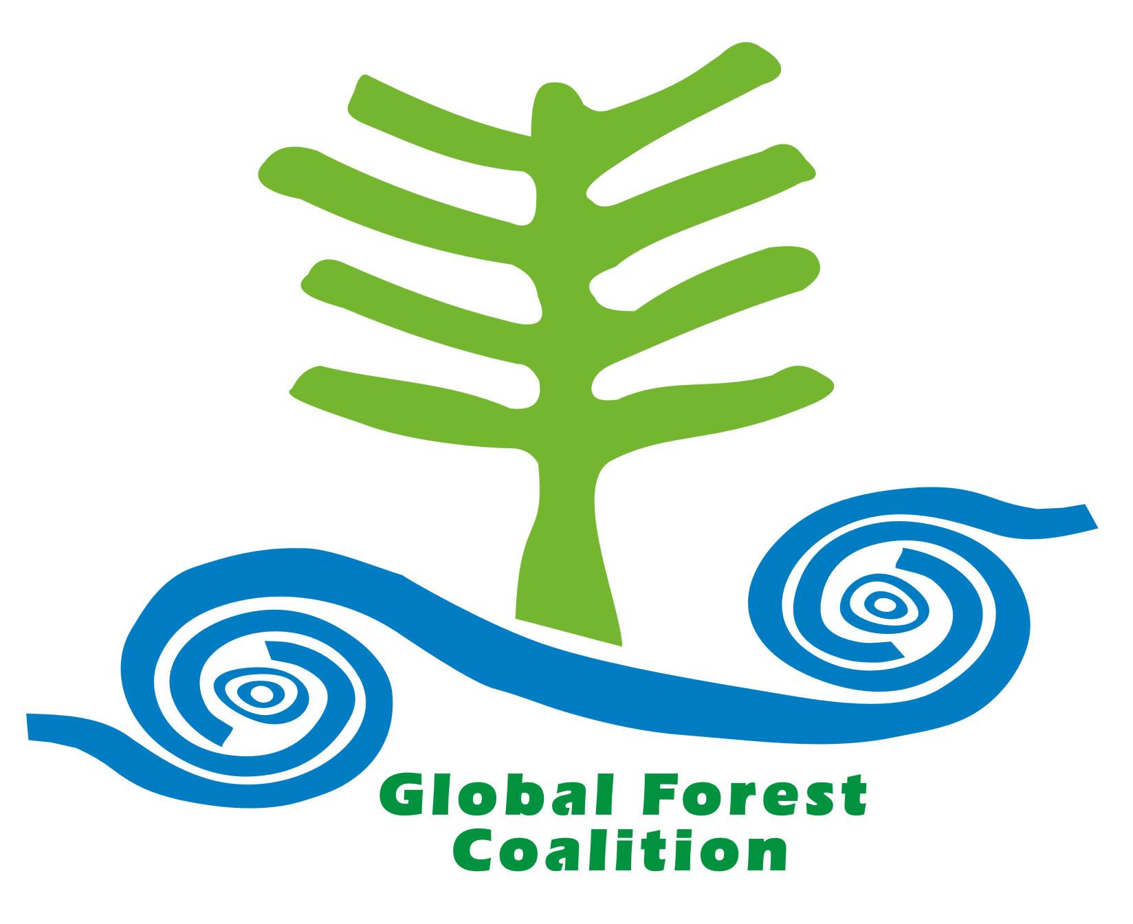 Image result for Global Forest Coalition