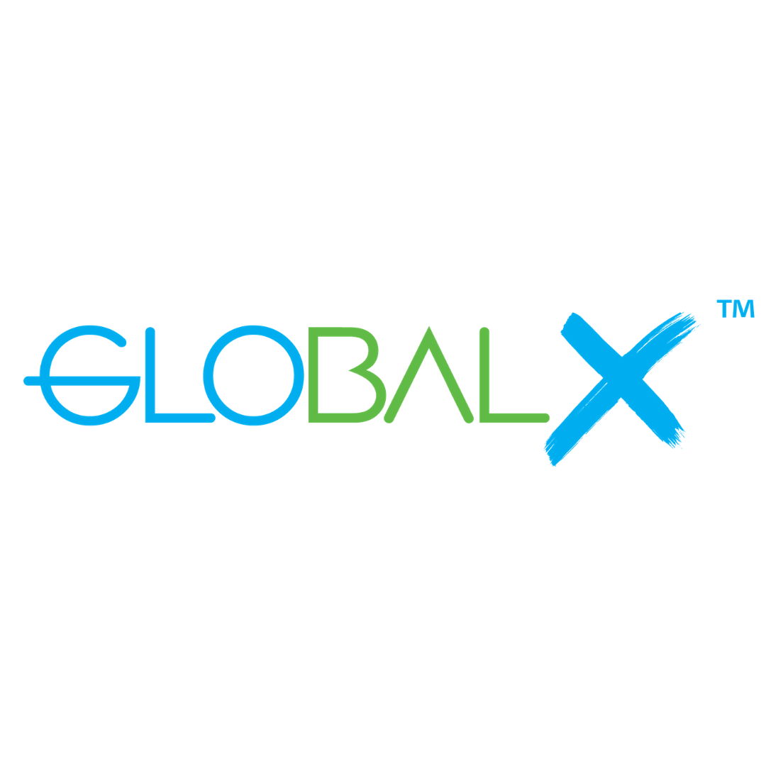 Image result for GlobalX