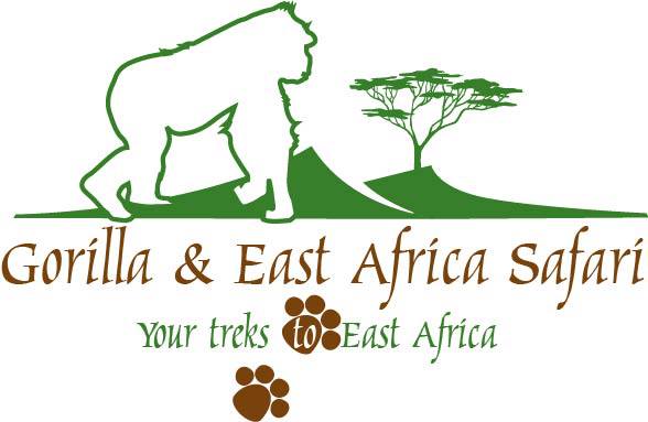 Image result for Gorilla & East Africa Safari