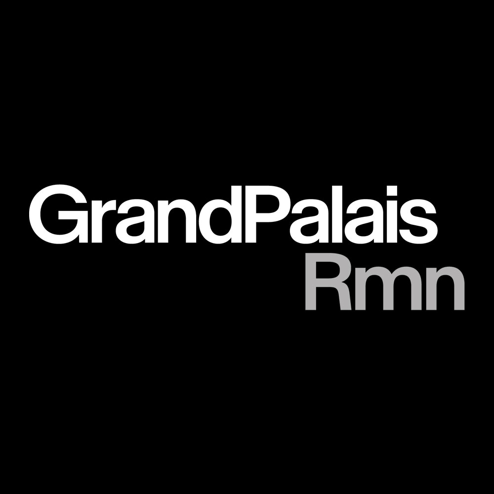 Image result for Grand Palais