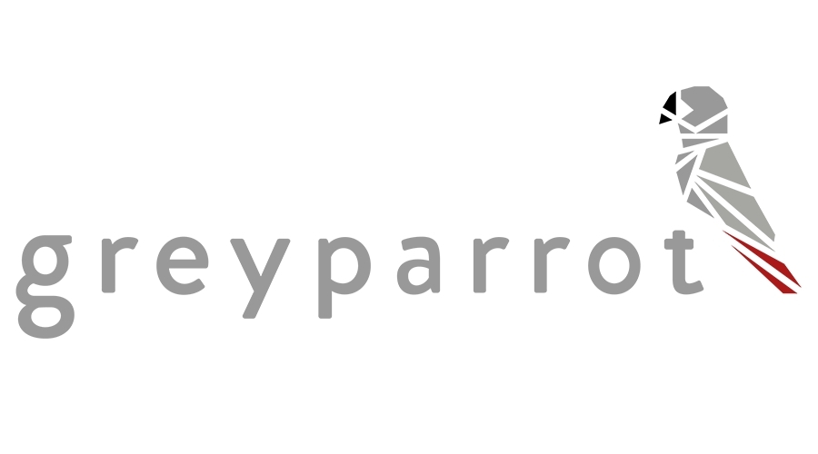 Image result for Greyparrot