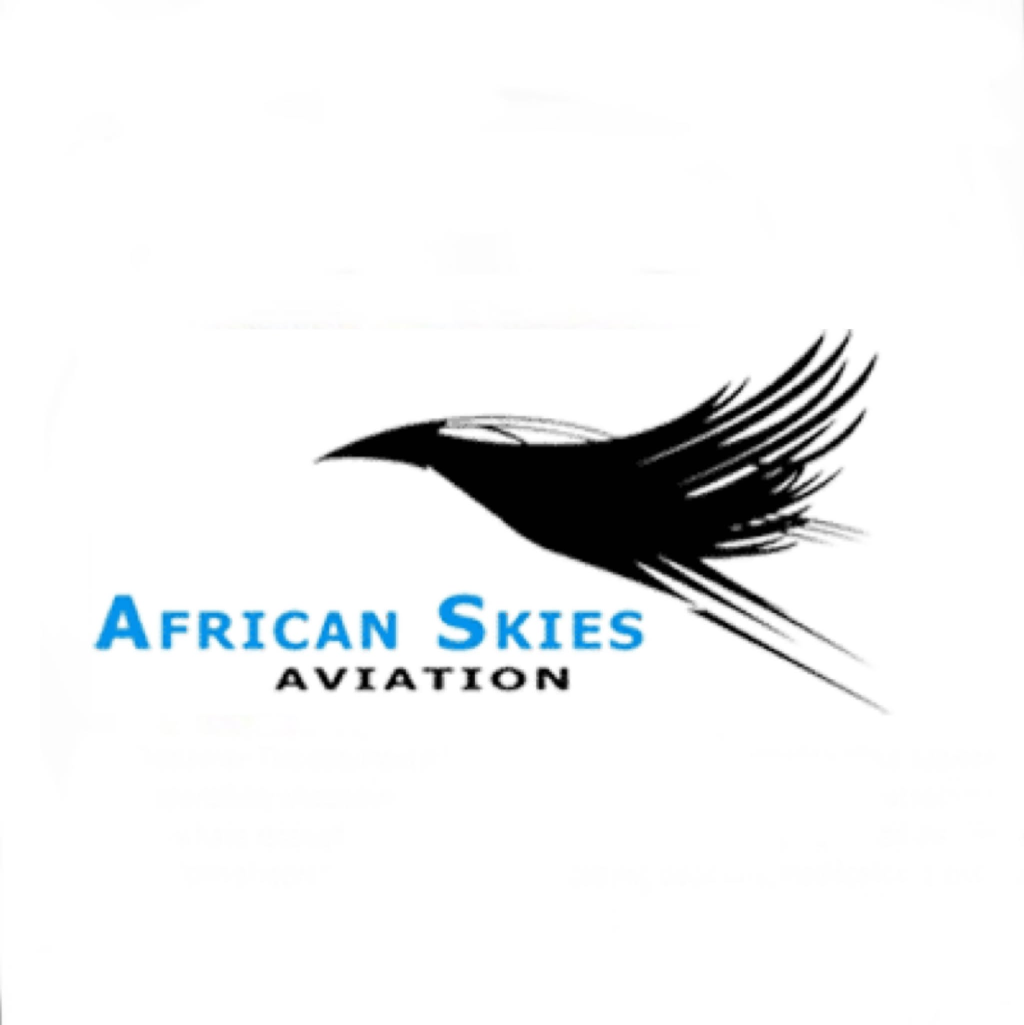 Image result for African Skies Aviation