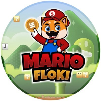 Image result for MarioFloki