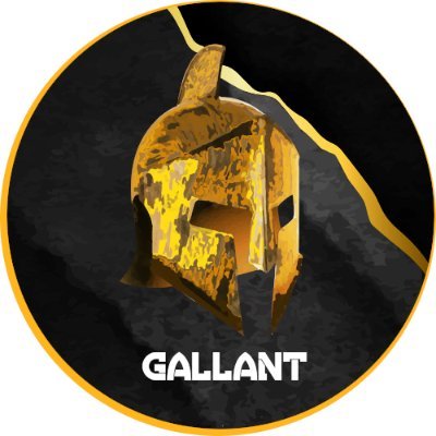 Image result for Gallant