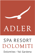 Image result for Hotel Adler Dolomiti
