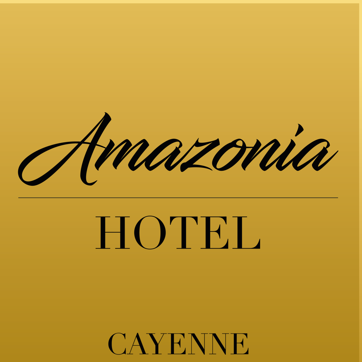 Image result for Hotel Amazonia