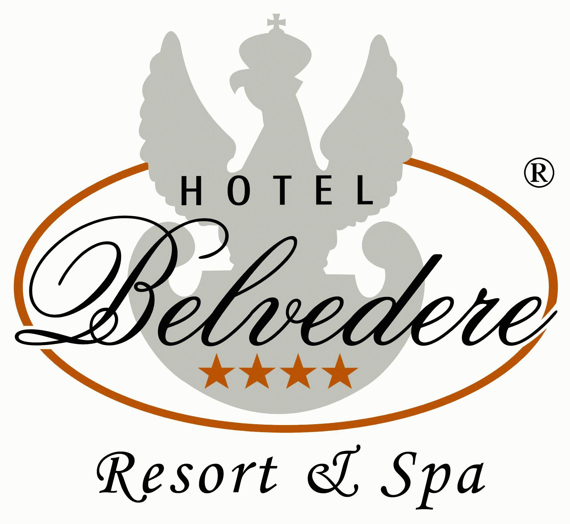 Image result for Hotel Belvedere