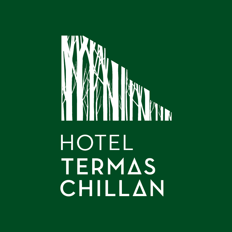 Image result for Hotel Termas Chillán