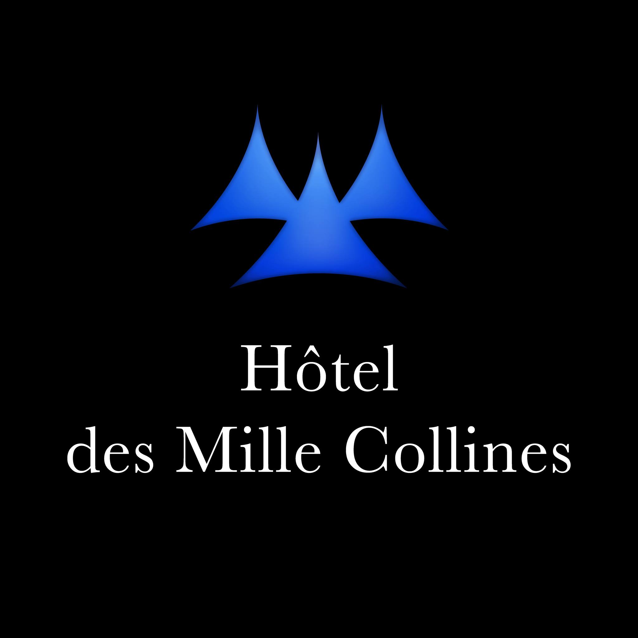 Image result for Hôtel des Mille Collines