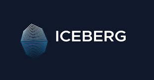 Image result for ICEBERG