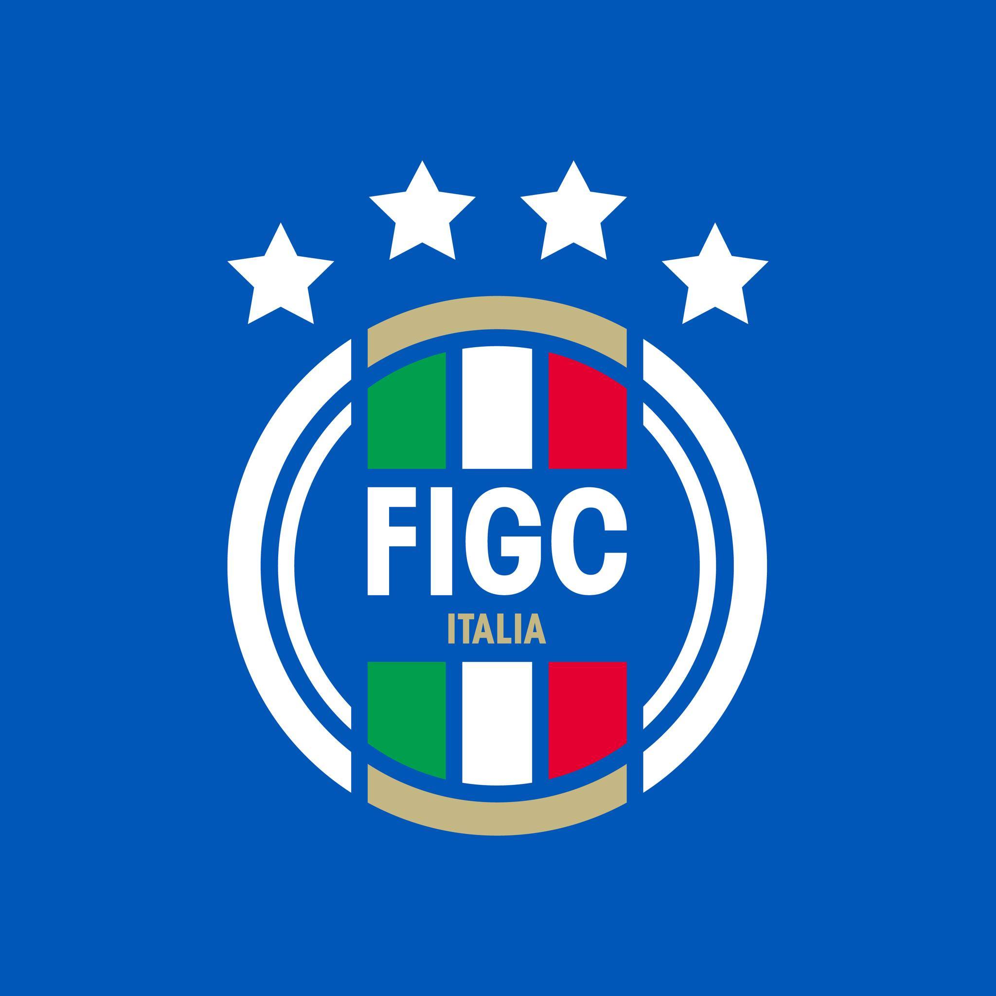 Image result for ITALIAN FOOTBALL ASSOCIATION