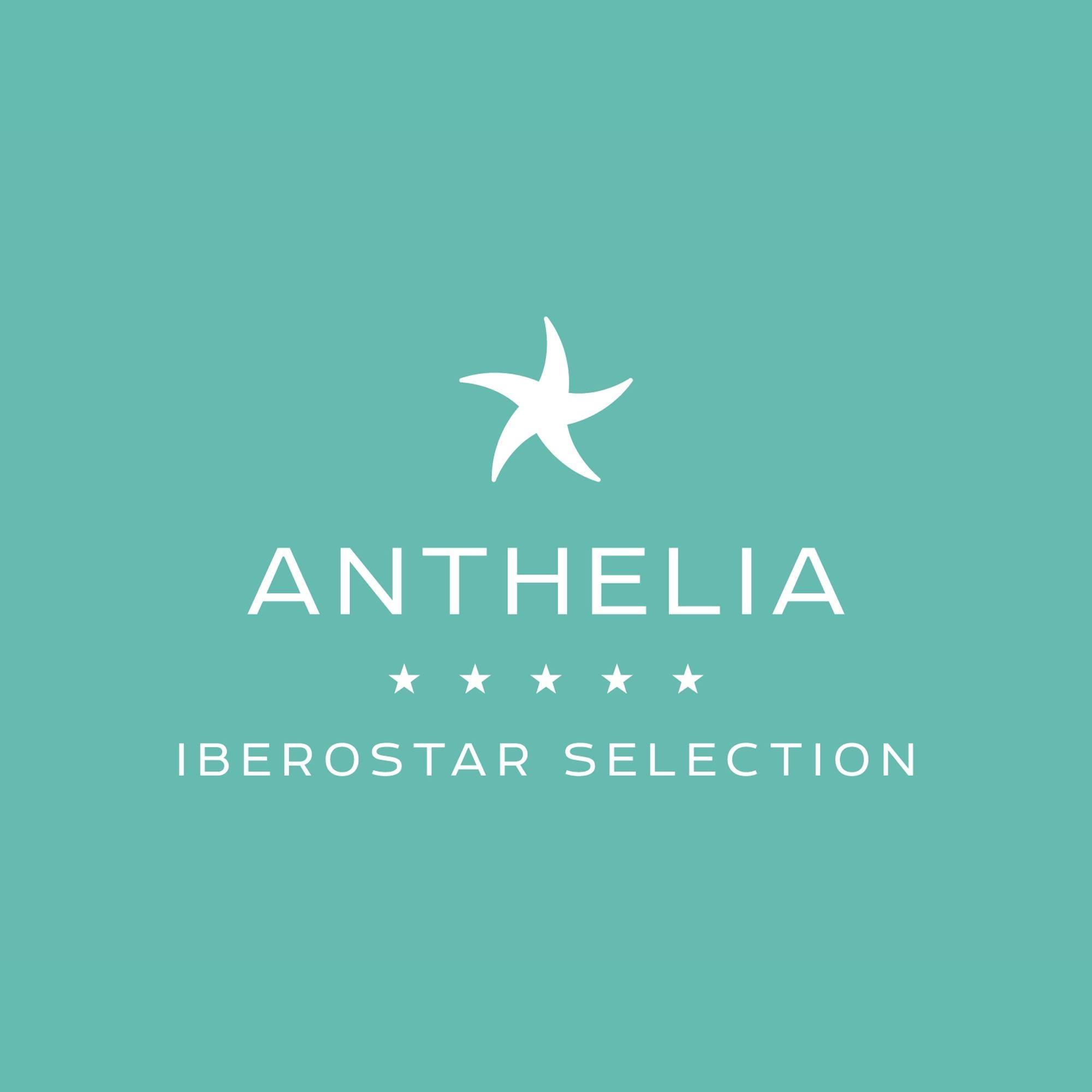 Image result for Iberostar Anthelia