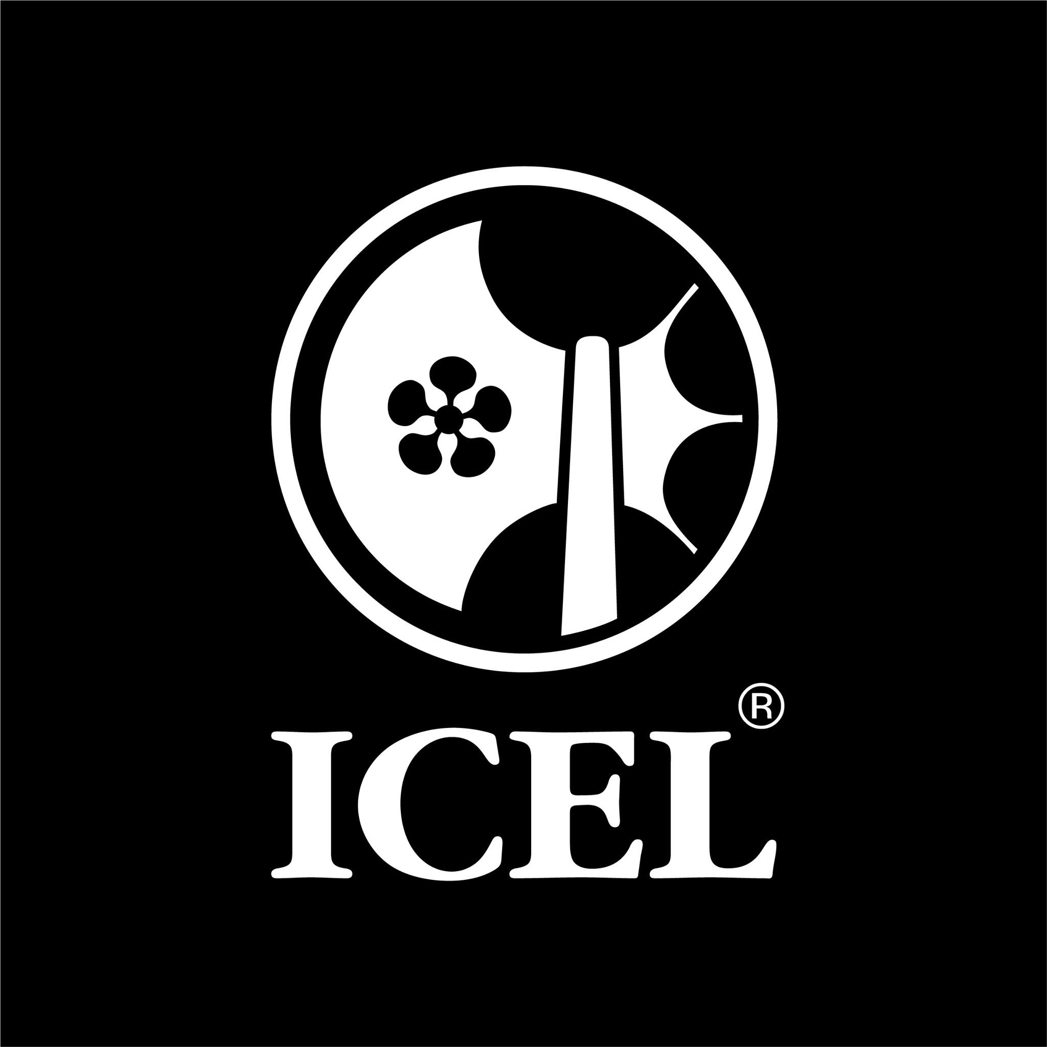 Image result for Icel, SA