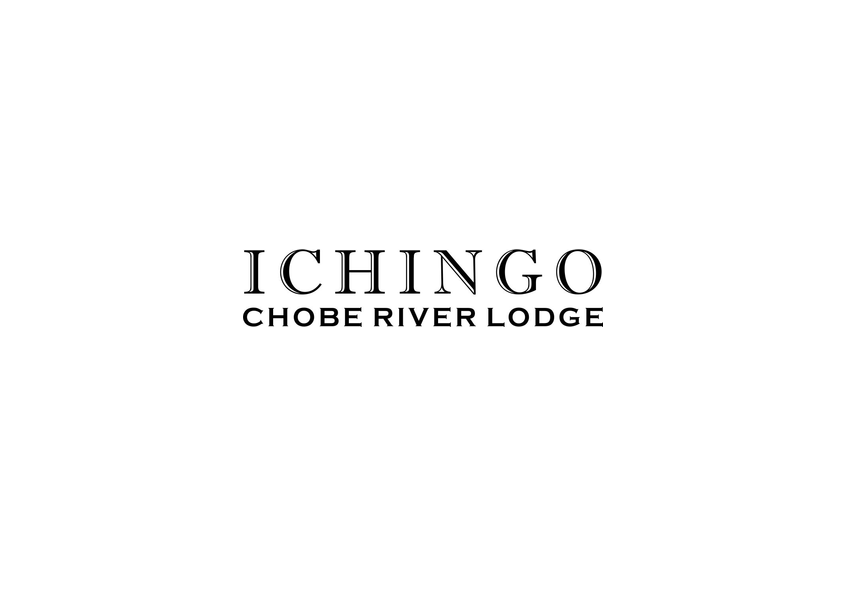 Image result for Ichingo Chobe River Lodge