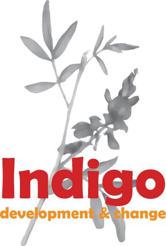 Image result for Indigo Development and Change