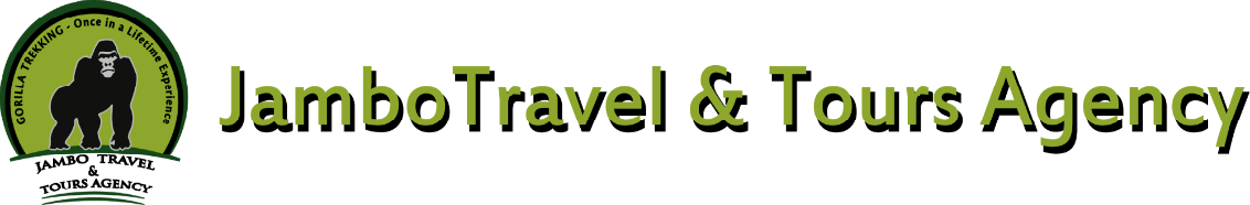 Image result for Jambo Travel and Tours Agency Rwanda