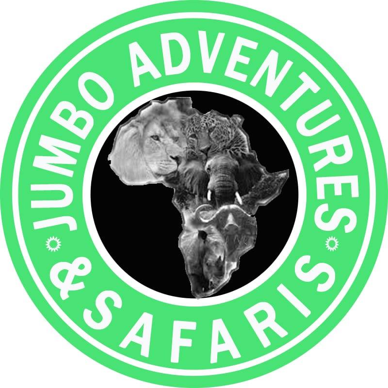 Image result for Jumbo Adventures