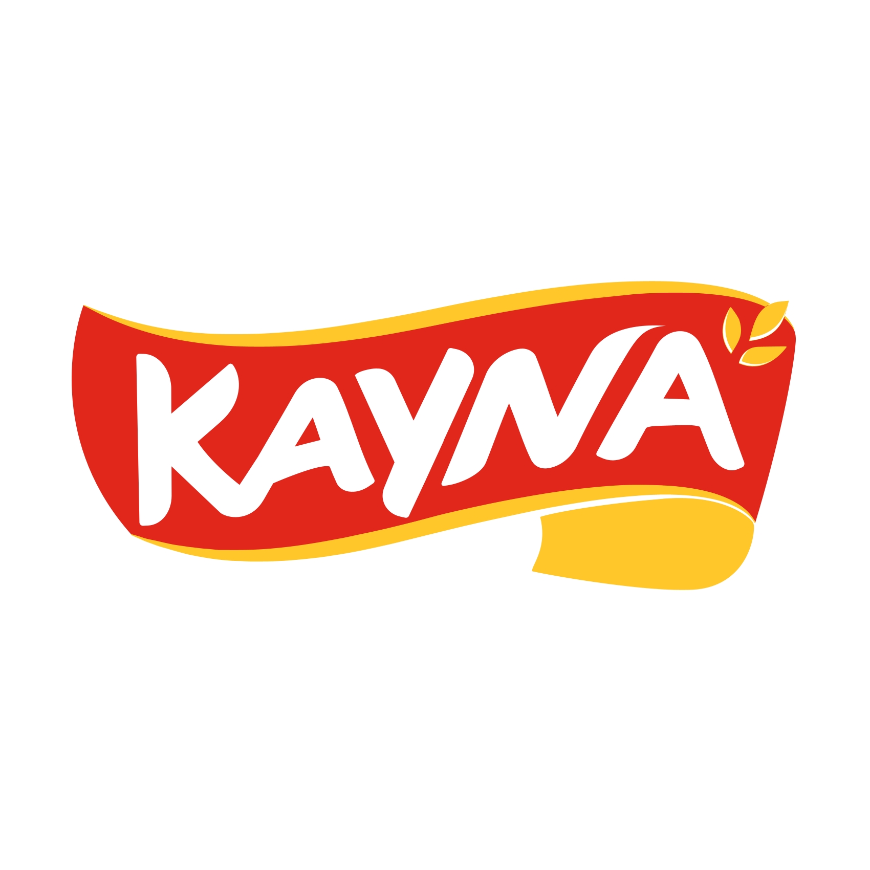 Image result for Kayna Group