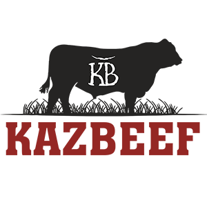 Image result for KazBeef Processing